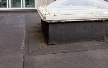disadvantages of Hazel Stub flat roofs