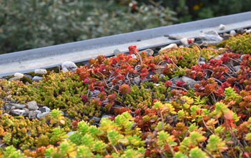 the cost of Hazel Stub green roof installation