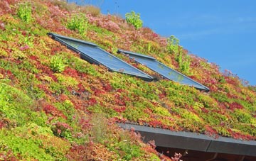 Hazel Stub living roof systems