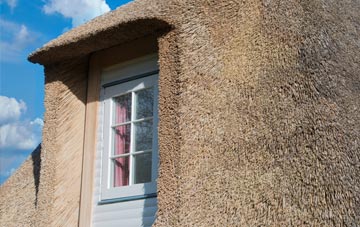 Hazel Stub thatch roof disadvantages