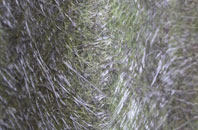 Hazel Stub fibreglass roof work