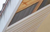 rated Hazel Stub soffit repair companies